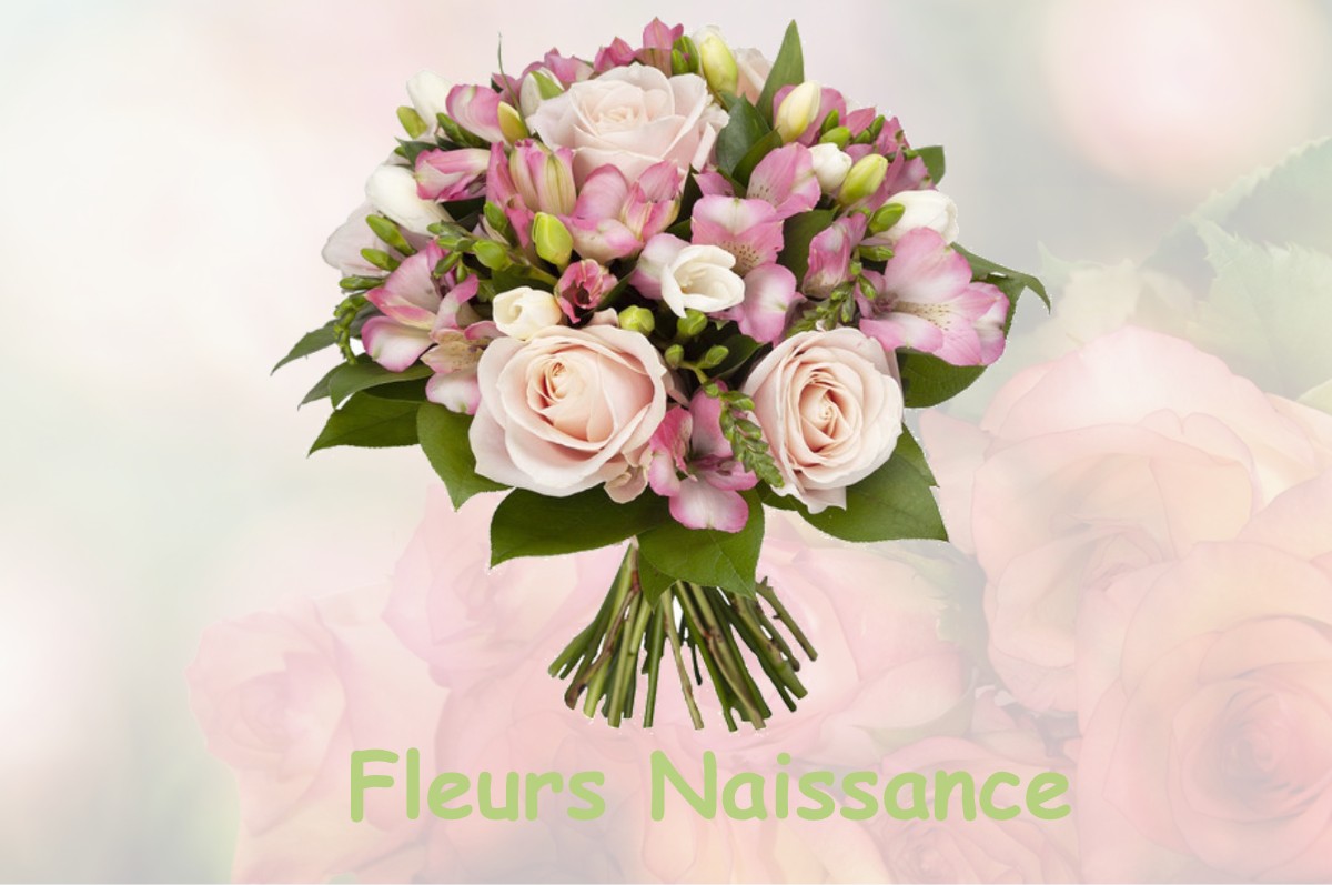 fleurs naissance MENOTEY